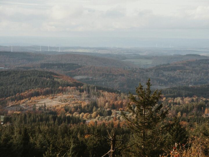 Park Meer en Bos